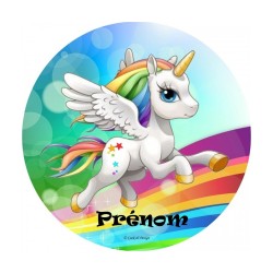 DISQUE PERSONNALISE LICORNE
