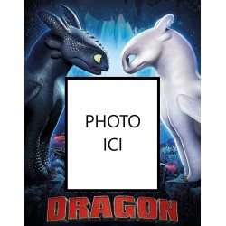 PHOTO PERSONNALISEE DRAGON