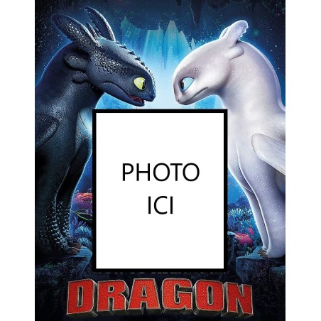 PHOTO PERSONNALISEE DRAGON