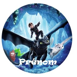 DISQUE PERSONNALISE DRAGON