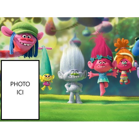 PHOTO PERSONNALISEE LES TROLLS