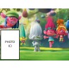 PHOTO PERSONNALISEE LES TROLLS