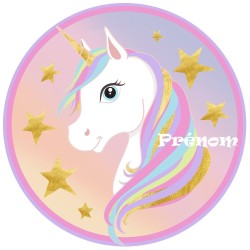 DISQUE PERSONNALISE LICORNE