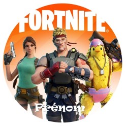 DISQUE PERSONNALISE FORTNITE
