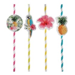 PAILLES TROPICALES X8