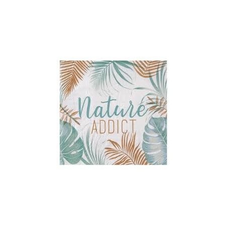 SERVIETTES NATURES X20