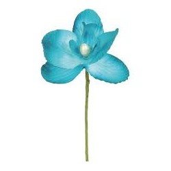 ORCHIDEE TURQUOISE SACHET DE 6 PIECES