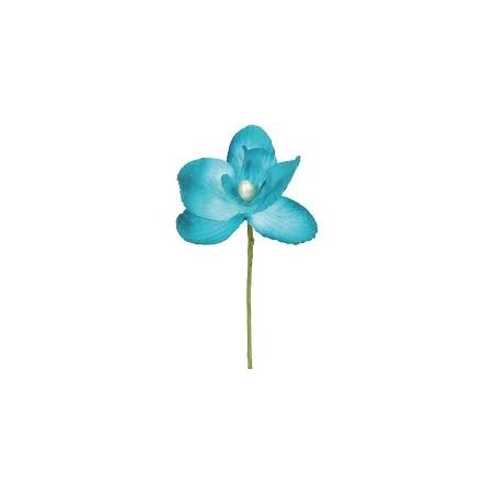 ORCHIDEE TURQUOISE SACHET DE 6 PIECES