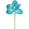 ORCHIDEE TURQUOISE SACHET DE 6 PIECES
