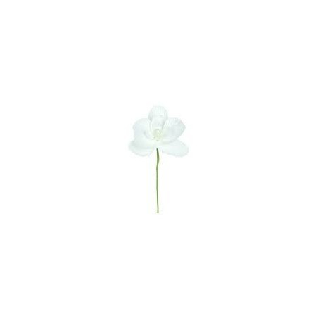 ORCHIDEE BLANCHE SACHET DE 6 PIECES