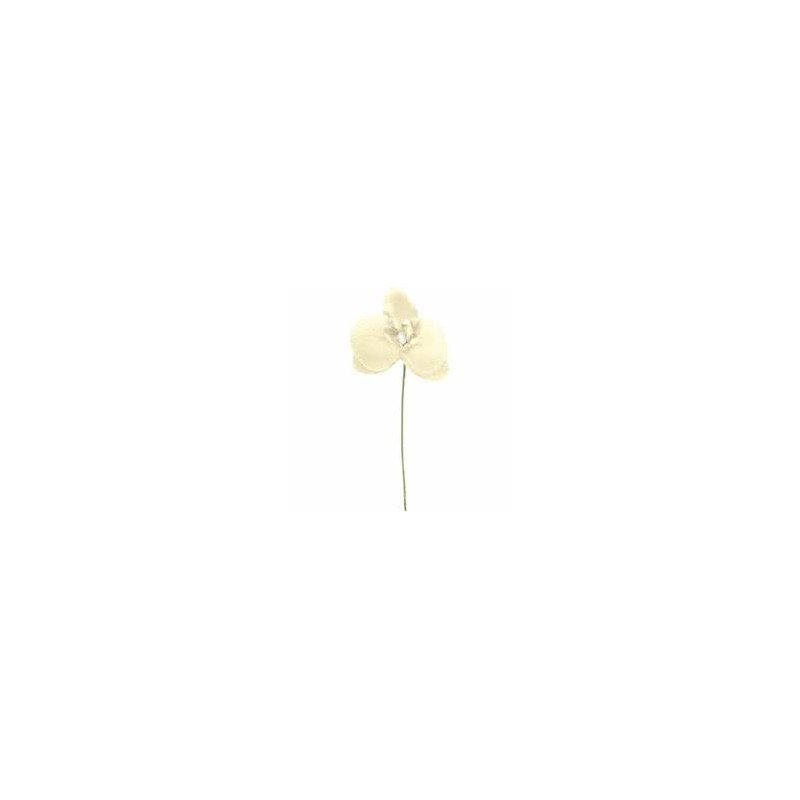 ORCHIDEE IVOIR SACHET DE 6 PIECES ORCHIDEE IVOIR SACHET DE 6 PIECES
