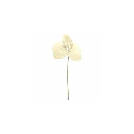 ORCHIDEE IVOIR SACHET DE 6 PIECES