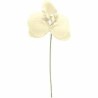 ORCHIDEE IVOIR SACHET DE 6 PIECES