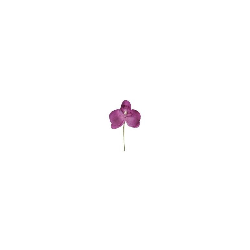 ORCHIDEE PRUNE SACHET DE 6 PIECES ORCHIDEE PRUNE SACHET DE 6 PIECES
