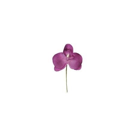 ORCHIDEE PRUNE SACHET DE 6 PIECES