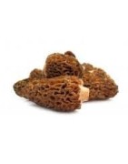 Champignons